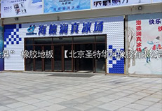 西安市西二環(huán)海德瀾真冰場橡膠地板項(xiàng)目工程案